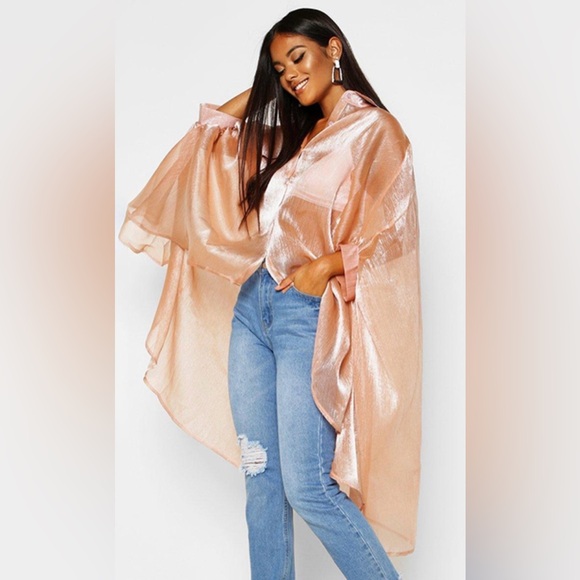 joy & ash Tops - Sheer Metallic Oversized Organza Blouse - Brand New Never Worn has extra button